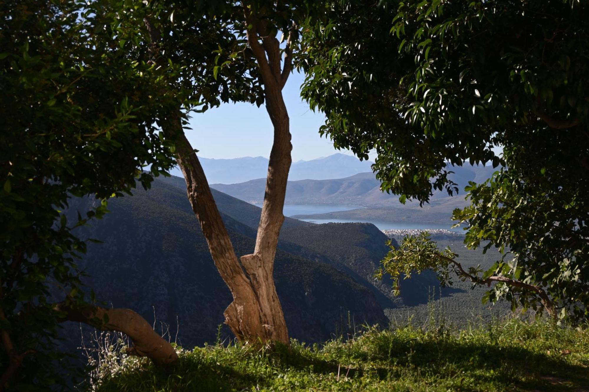Komody Delphi Dış mekan fotoğraf
